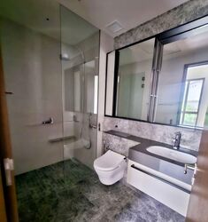 Parksuites (D10), Apartment #581254441
